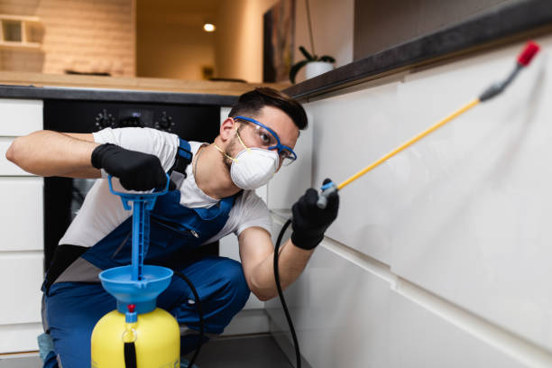 Best Emergency Pest Control  in Kirkland, IL