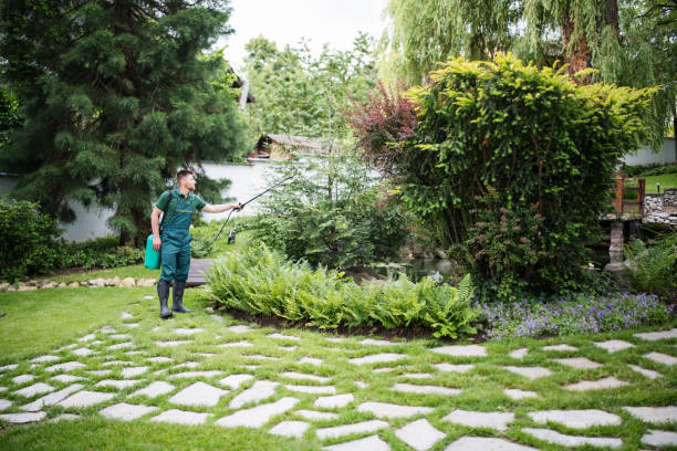 Pest Control for Restaurants in Kirkland, IL