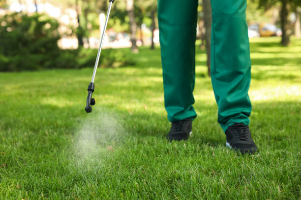 Best Pest Prevention Services  in Kirkland, IL